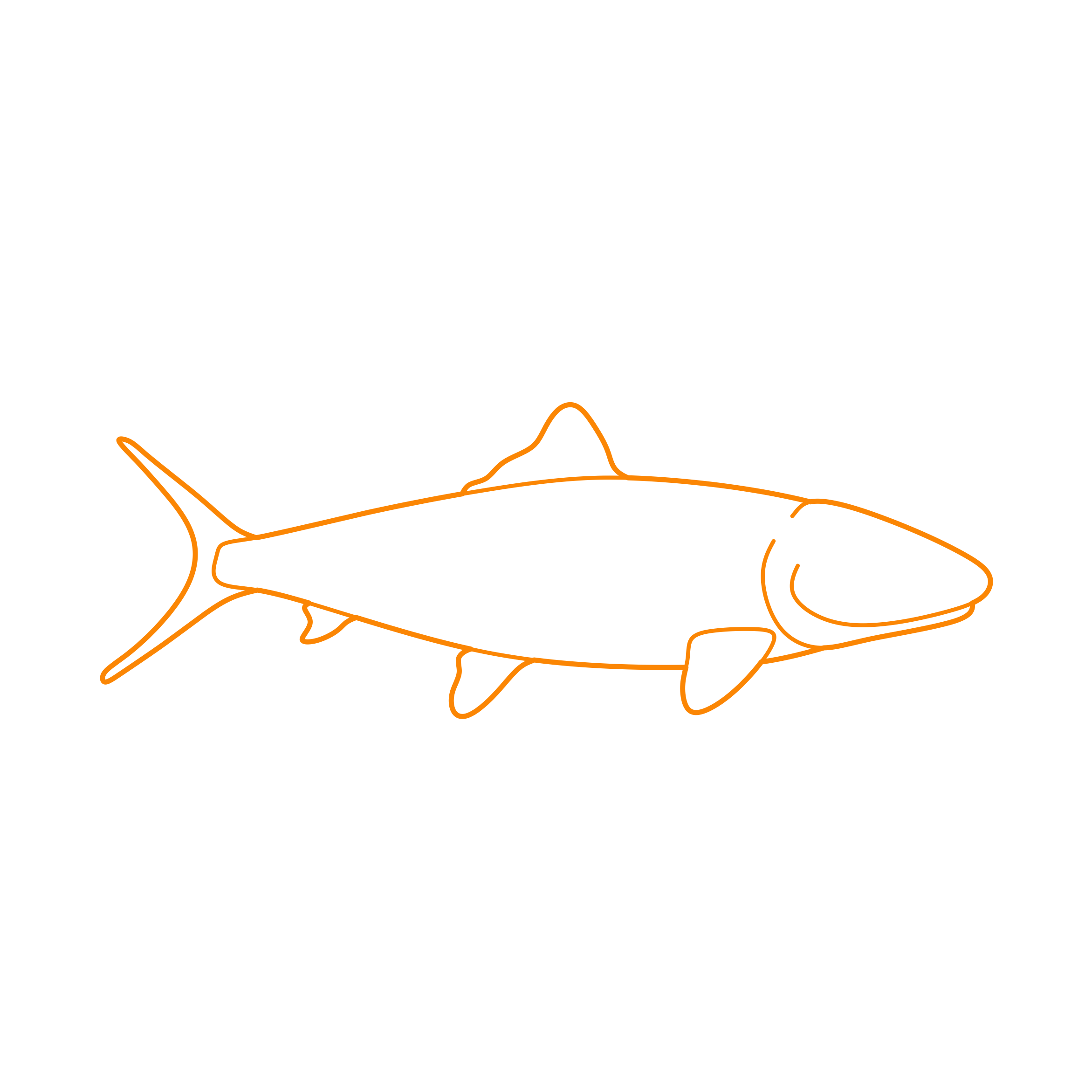 Animals Saltwater Fish Bonefish Icon Svg Vector Free Vectors